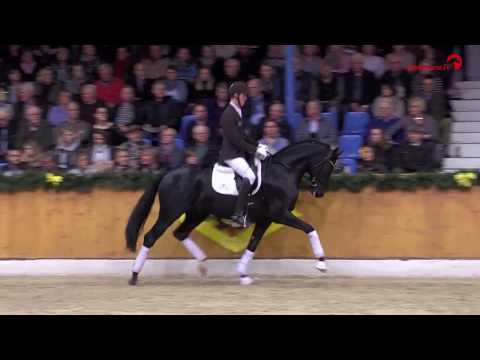 Finest Selection Hengstschau Vechta 2017