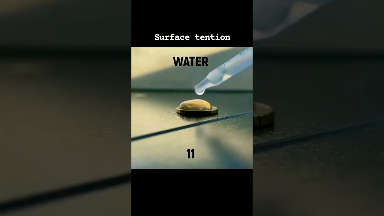surface tension experiment
