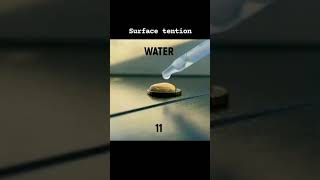 surface tension experiment