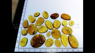  Křídový jantar SJ-70