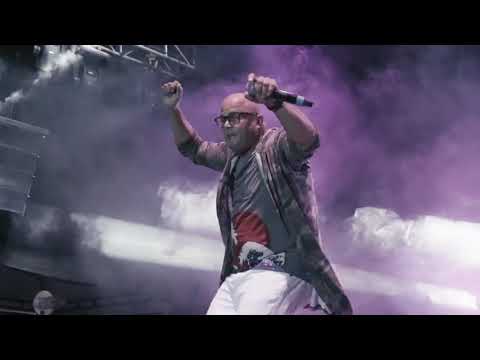 Rey el Vikingo | En VIVO |  Colombia #reyelvikingo