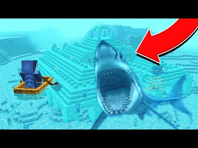 I GOT ATTACKED BY A SHARK! (LIVE FOOTAGE)