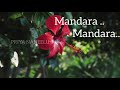 WhatsApp Status Mandara Mandara Lyrics Priya Naneelu