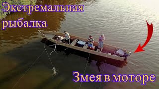 Мы так увлеклись рыбалкой что не заметили