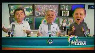 Greg Camarillo Goes The Distance Radio Call - Miami Dolphins
