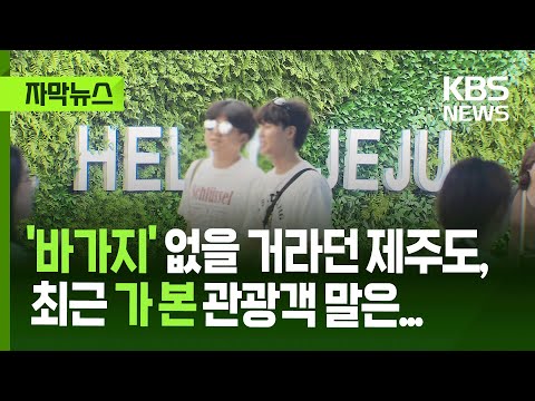 제주도 바가지 관련  맛집 뉴스
