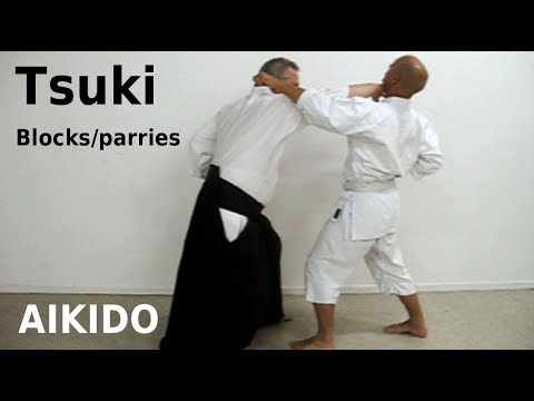 Aikido - blocks/parries against TSUKI, different strike attacks, by Stefan Stenudd in 2010