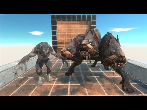 CEBERUS VS WERE WOLF DEATH RUN - Animal Revolt Battle Simulator