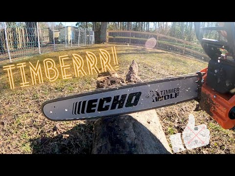 Brrreakfast, Brush Clearing, Unboxing and a Full Review of the Echo CS-590 Timber Wolf Chainsaw