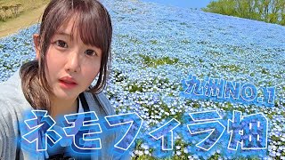 【絶景】九州No.1ネモフィラ畑に行ってきた！バイク女子旅【しゃけねこ】【GW】