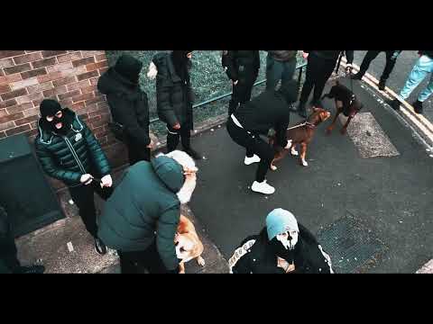 AGRO ALBO - JUMPY (official video)