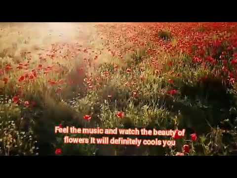 Soothing zen Relaxation music/ cool music/ Stress relief music with Flowers shoot