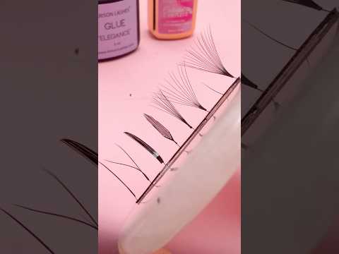 7 Lash Styles. Which One Is Yours? 👁️✨