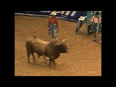 Lawman bucks Spud Whitman - 98 PBR Birmingham