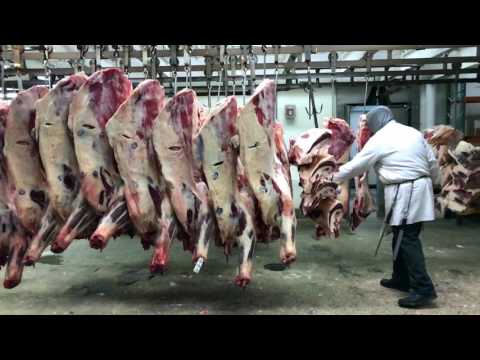 download lagu mp3 mp4 Wholesale Meat Distributors Nyc, download lagu Wholesale Meat Distributors Nyc gratis, unduh video klip Wholesale Meat Distributors Nyc