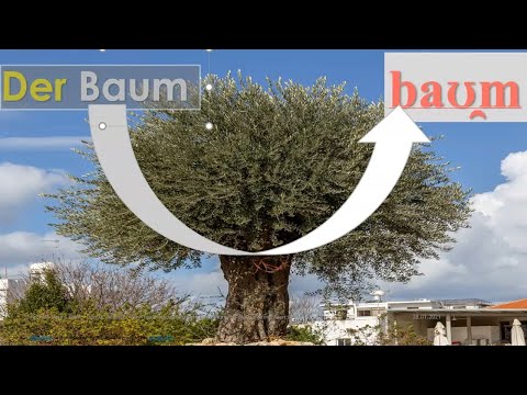 #aussprache #german #deutsch - German B pronunciation