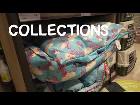 Werken bij Tom&Co - HR foto 