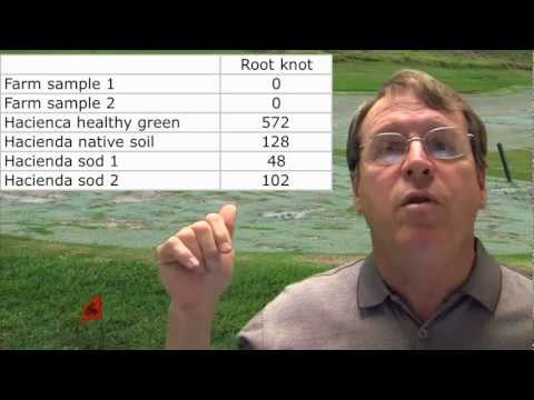 Nematode Damage: A search for the source