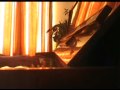 Pandora Hearts - Parallel Hearts #1 (Piano) 
