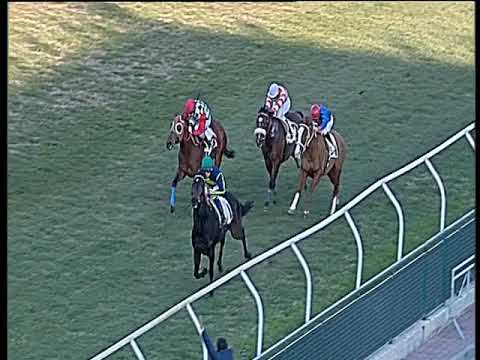 Galoppo 08/01/2020 - 1ª corsa