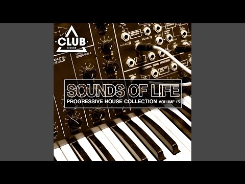 Feel the Rush (feat. Ashley Benjamin) (Nightstylers 'the Crazy Bass Song' Remix)