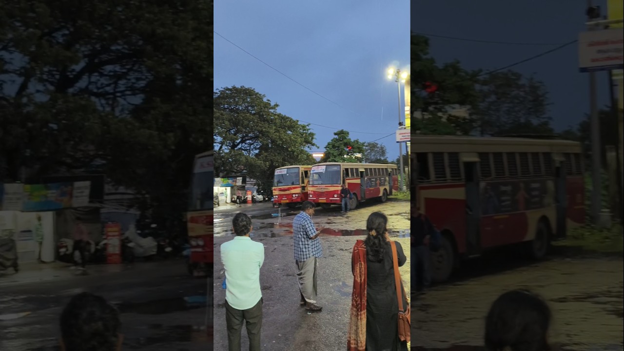 🌧️ആലപ്പുഴ to ചേർത്തല ഒരു മഴയാത്ര! 🌧️🚌 KSRTC ബസ് വൈബ്സ്!#shorts #shortfeed