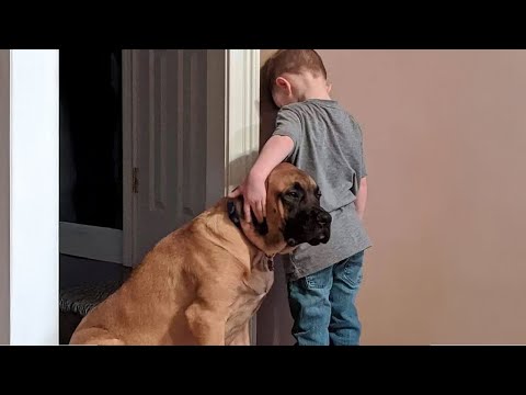 Le duo bébé-chien le plus drôle de tous les temps ! ❤️
