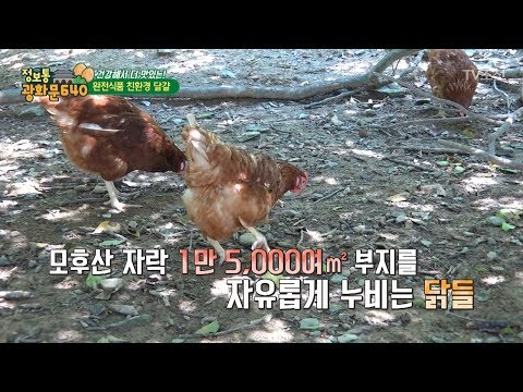 , title : '방목으로 키우는 닭, 친환경 달걀 [정보통 광화문 640] 58회 20170920'