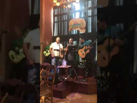 el oso de zacatecas una pajina mas aconpanado por trio los brillantes