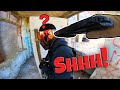 Using Parkour In Airsoft To Sneak Up On Enemies