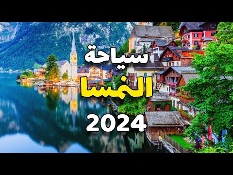 الفيديو
