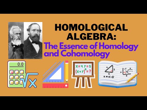 Homological Algebra: The Essence of Homology and Cohomology