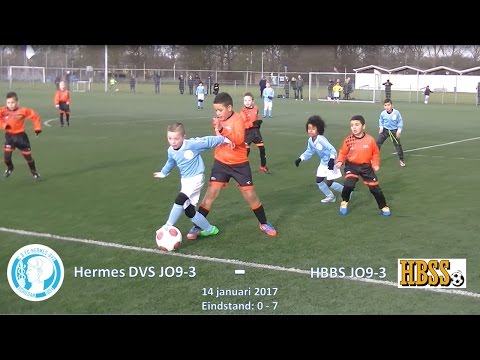Samenvatting Hermes DVS JO9-3 -  HBSS JO9-3