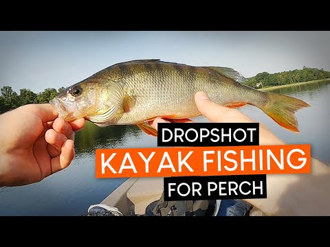 KAYAK FISHING for PERCH with a dropshot