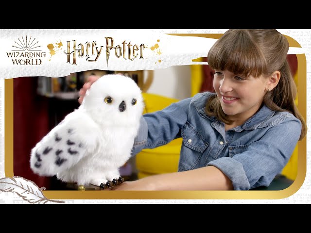 Wizarding World Harry Potter, Enchanting Hedwig In...