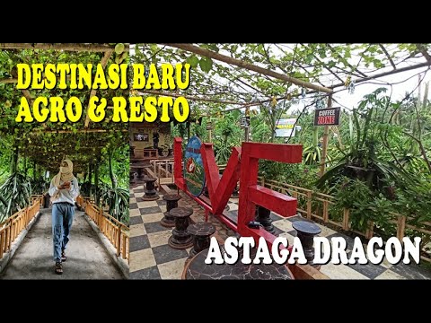 DESTINASI BARU!! KEBUN ASTAGA DRAGON BANYUWANGI