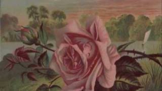 Don Williams - The Rose / Now With Lyrics