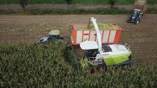 Loonbedrijf Sonnemans | Mais hakselen |  CLAAS Jaguar 960 |  CLAAS Orbis 600