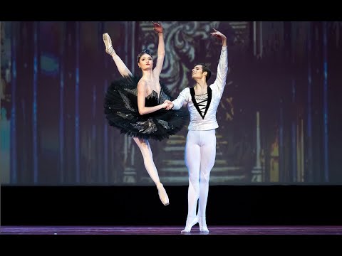 The Swan Lake pas de deux. Alena Kovaleva & Jacopo Tissi