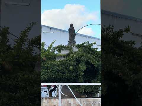ANIVERSÁRIO DE CONCEIÇÃO DO COITÉ - BAHIA - 93 ANOS