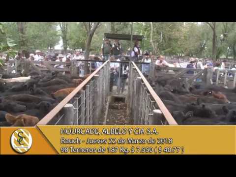 22-03-18 Venta de Machos - Hourcade, Albelo y Cia S.A. - Rauch.