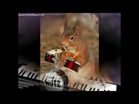 De Maar _  Мачо _ DJ Pomeha   DJ Simex