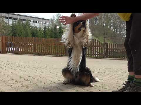 Pattex- Of Course of Silent Storm* just a short shortcut