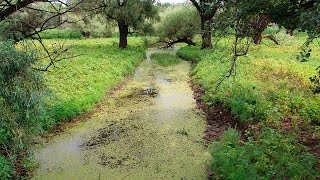 Рыболовные места волгограда за островом сарпинский