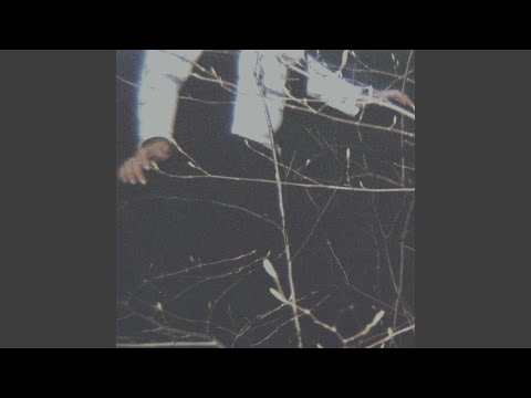 What Did You See - Cemeteries