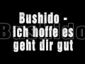 Bushido - Ich Hoffe Es Geht Dir Gut [feat. Bizzy ...