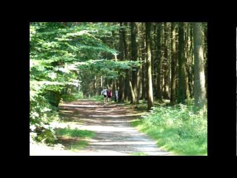 C1 - Jgd. HeiderSV  Sommertrainingslager vom 25. - 28. Juli Saison 2012/2013