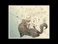 The Pacific Ocean - Waterflower 