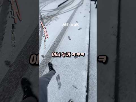 도플라밍고 걸음걸이 현실판