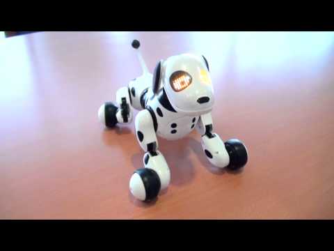 Ｈｅｌｌｏ！Ｚｏｏｍｅｒ (ハローズーマー) 　はなしして♪編